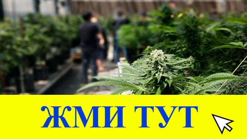 Купить наркотики в Свободном